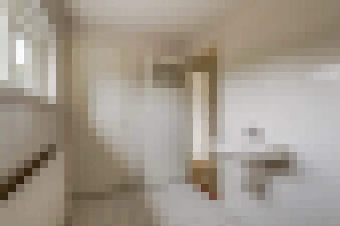van de Poelstraat 11 Raamsdonksveer thumbnail 20