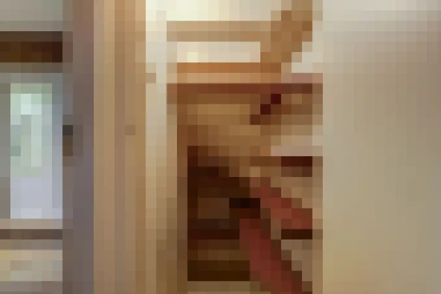 van de Poelstraat 11 Raamsdonksveer thumbnail 24