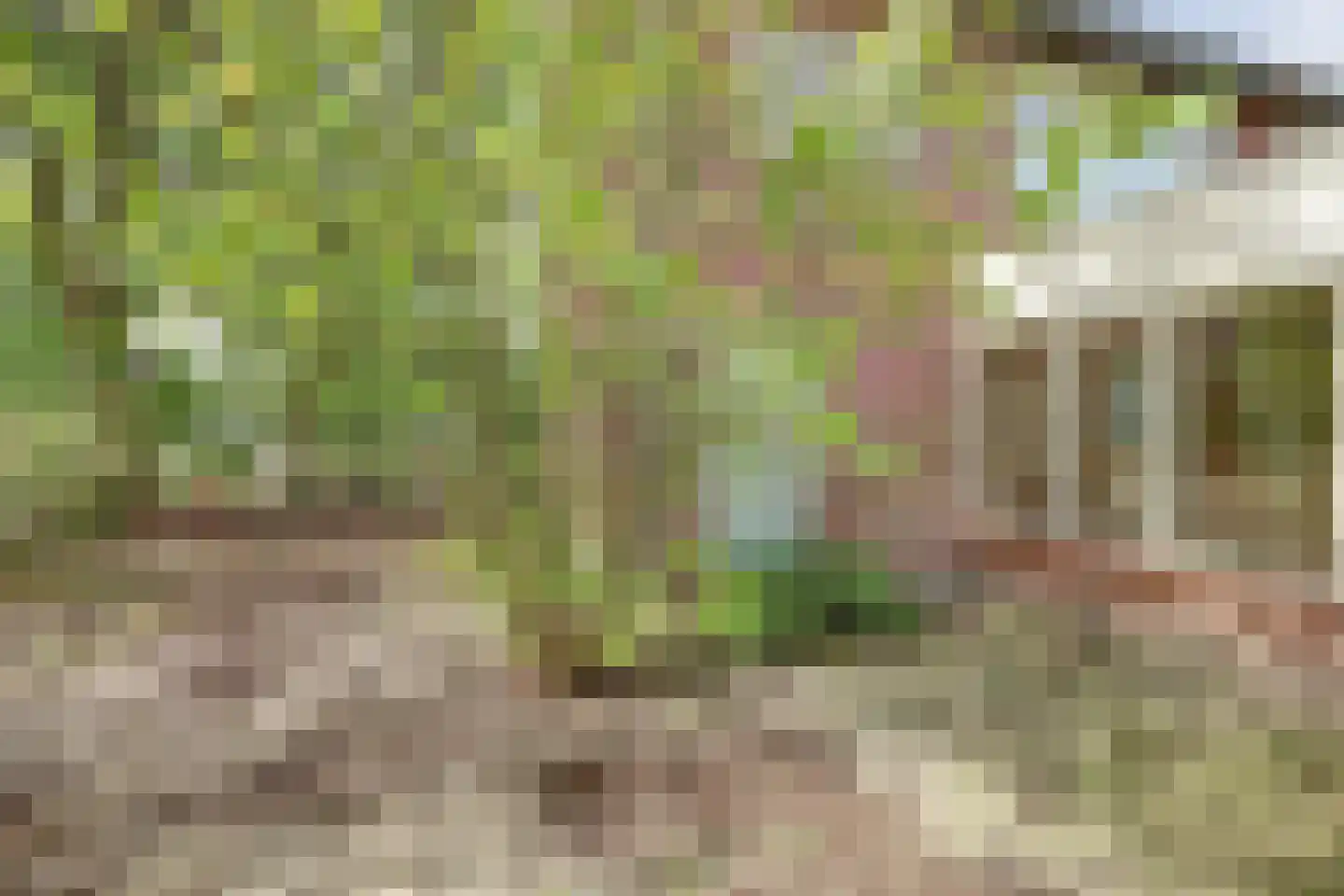 van de Poelstraat 11 Raamsdonksveer thumbnail 35