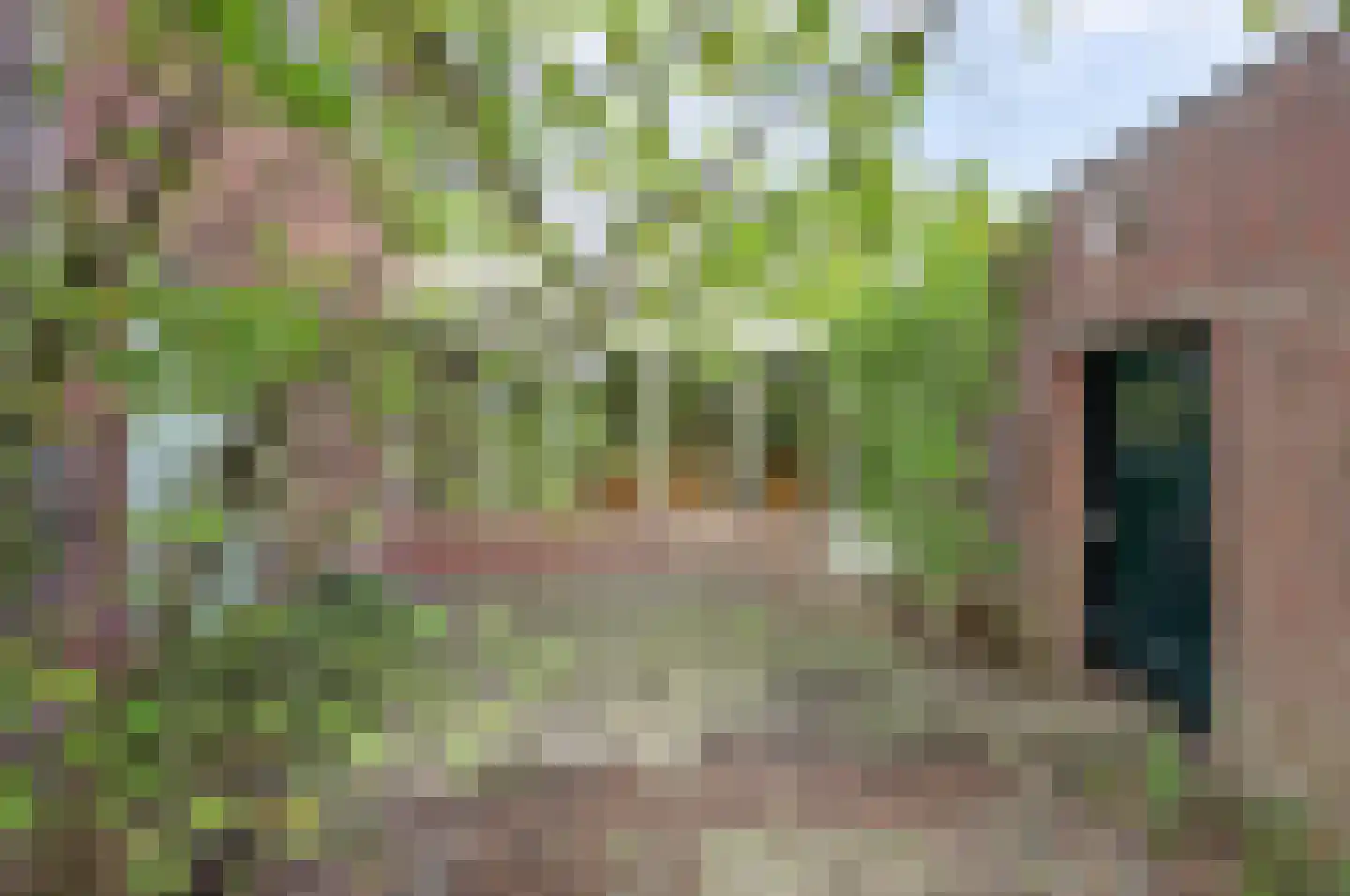 van de Poelstraat 11 Raamsdonksveer thumbnail 36