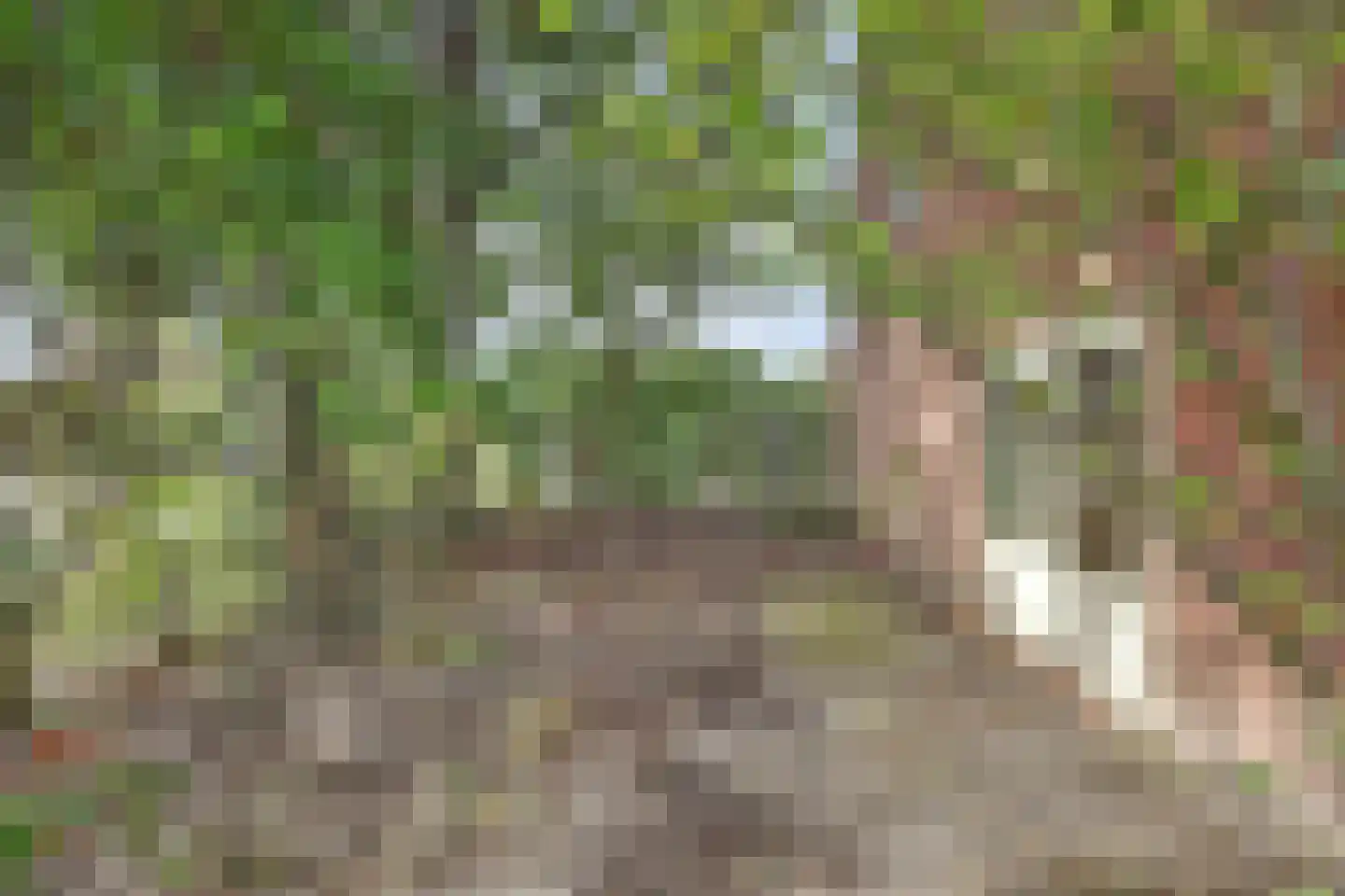 van de Poelstraat 11 Raamsdonksveer thumbnail 37