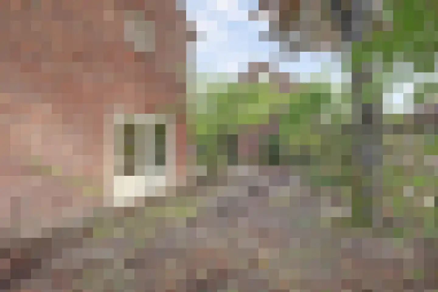van de Poelstraat 11 Raamsdonksveer thumbnail 38