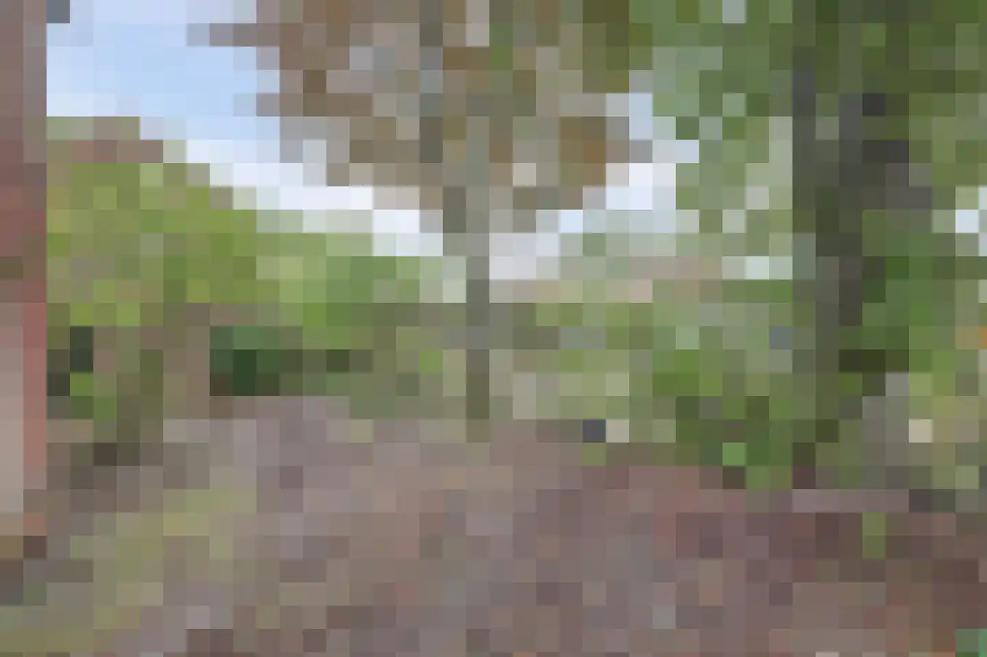 van de Poelstraat 11 Raamsdonksveer thumbnail 39