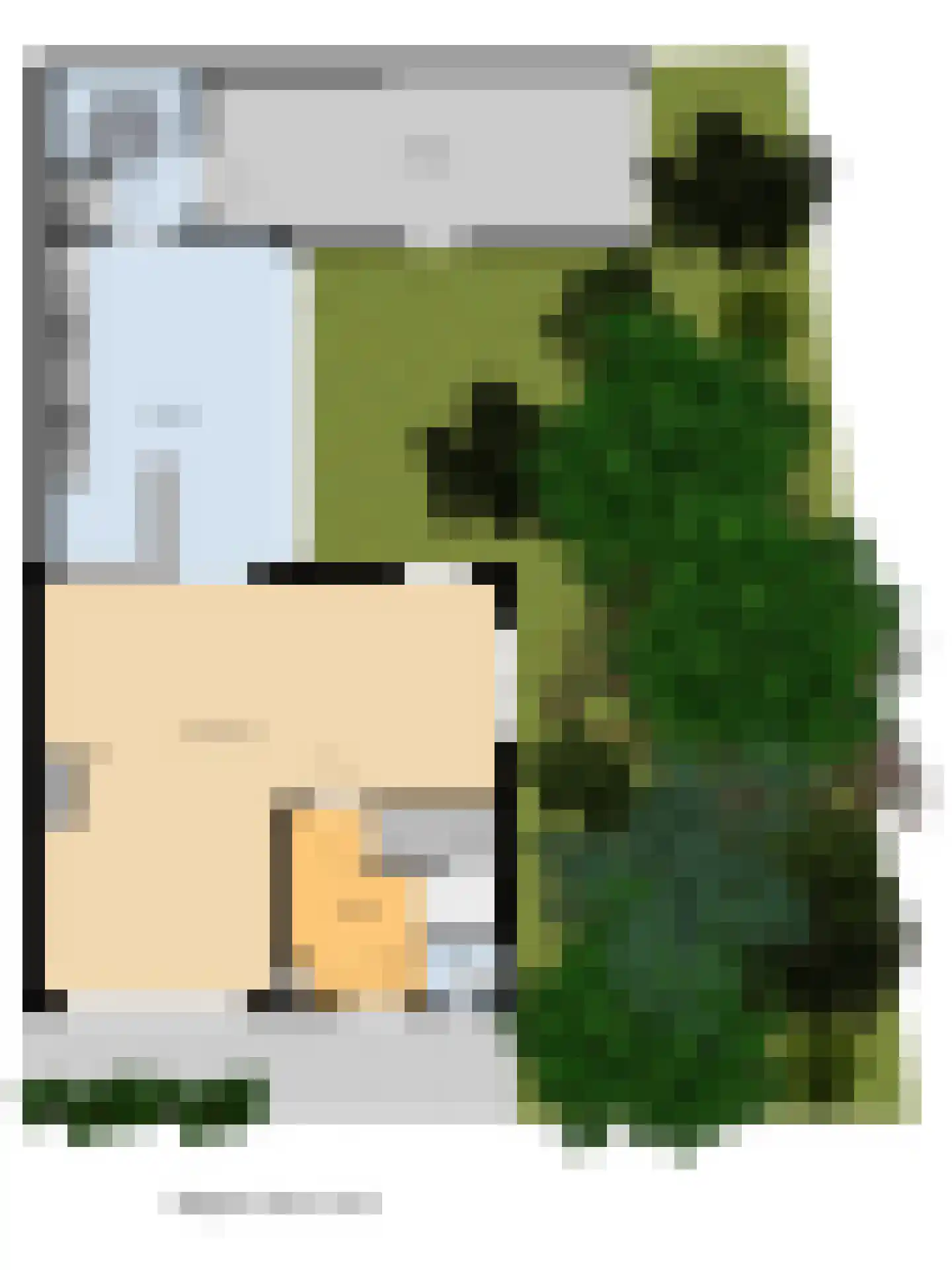 van de Poelstraat 11 Raamsdonksveer thumbnail 43