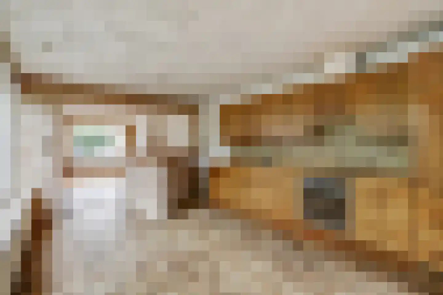 van de Poelstraat 11 Raamsdonksveer thumbnail 6