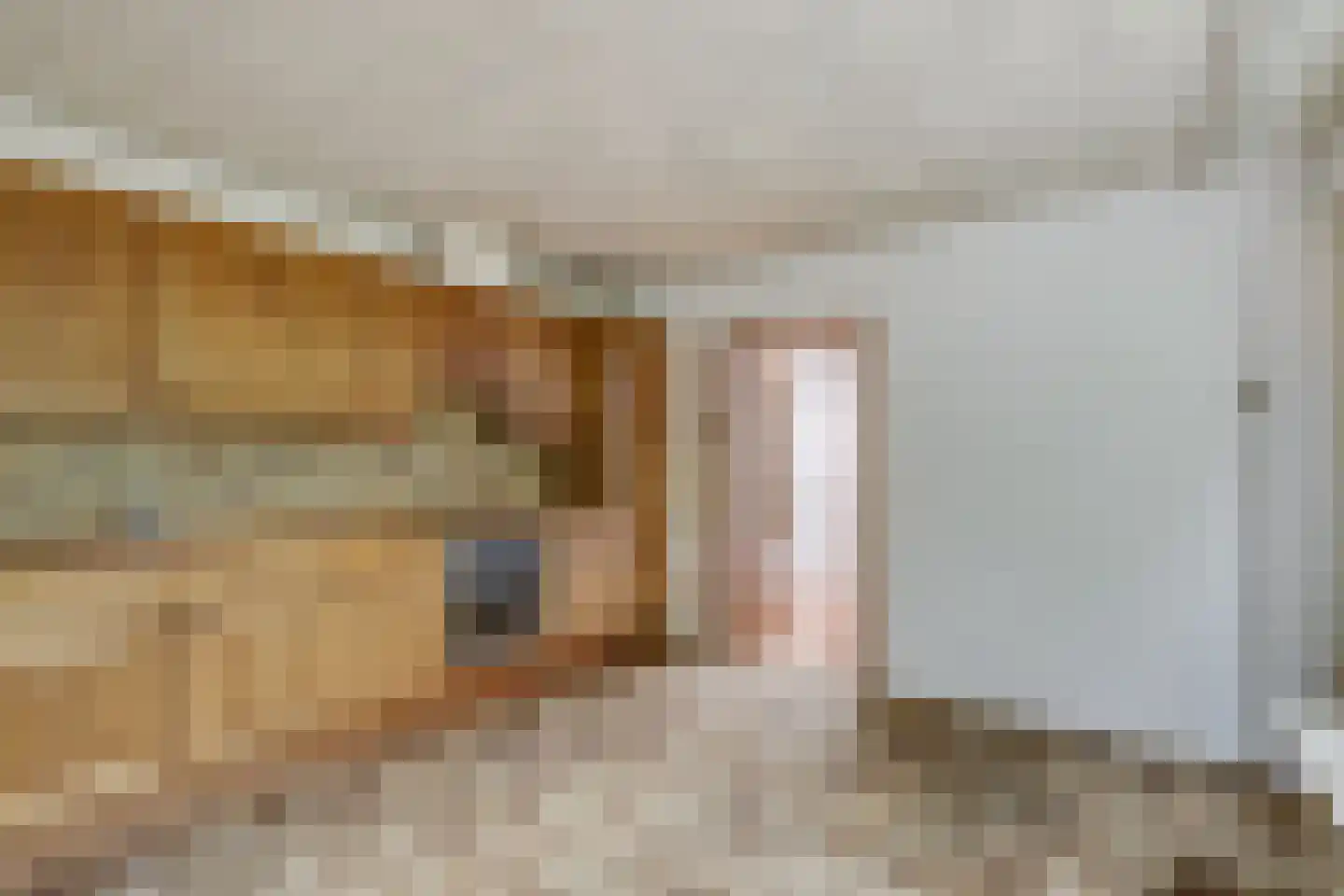van de Poelstraat 11 Raamsdonksveer thumbnail 7