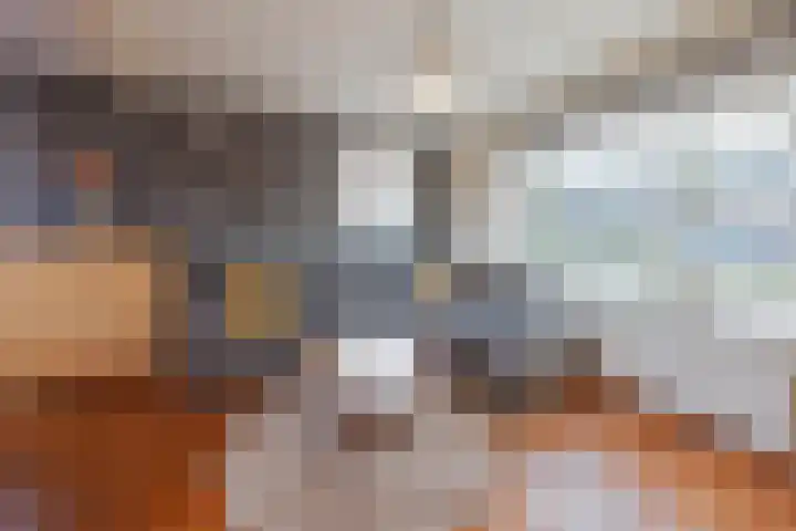 van de Poelstraat 3 Raamsdonksveer thumbnail 10