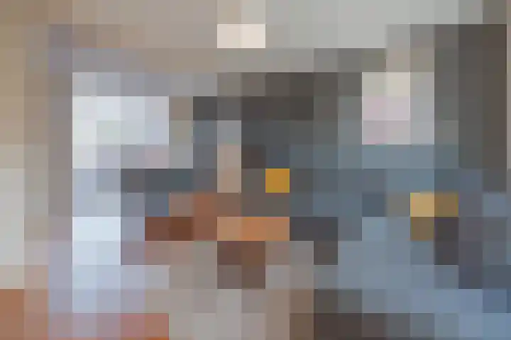van de Poelstraat 3 Raamsdonksveer thumbnail 11