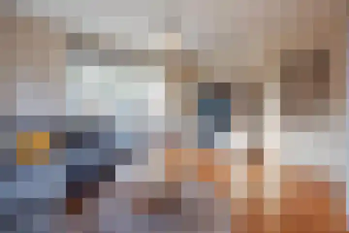 van de Poelstraat 3 Raamsdonksveer thumbnail 12