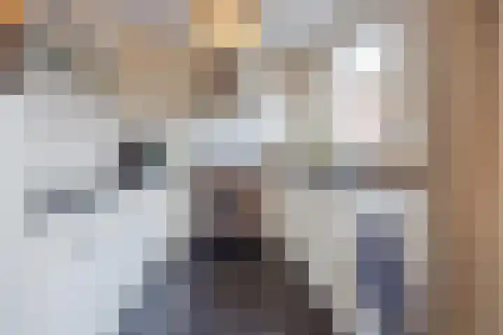 van de Poelstraat 3 Raamsdonksveer thumbnail 16