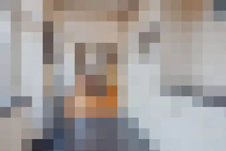 van de Poelstraat 3 Raamsdonksveer thumbnail 18