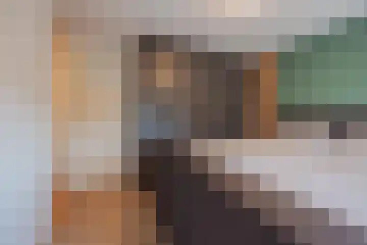 van de Poelstraat 3 Raamsdonksveer thumbnail 30