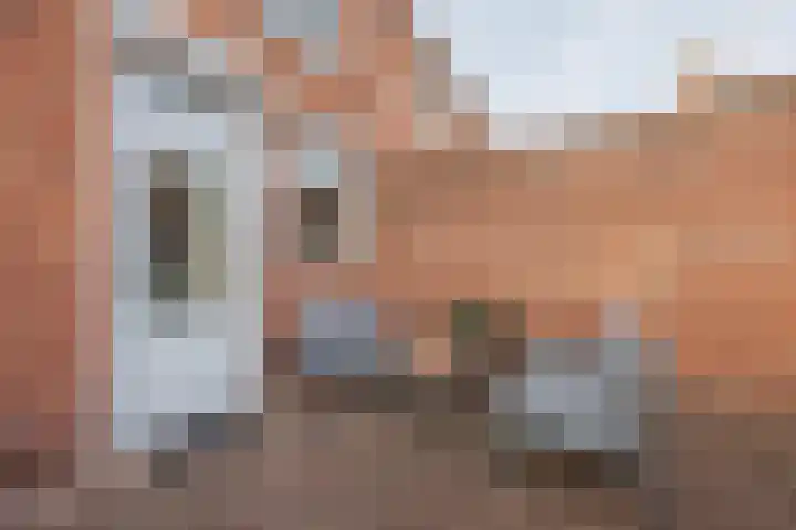 van de Poelstraat 3 Raamsdonksveer thumbnail 34