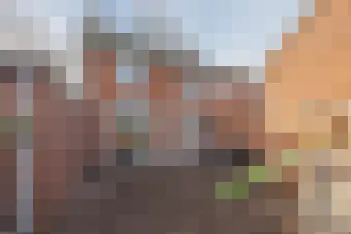 van de Poelstraat 3 Raamsdonksveer thumbnail 39