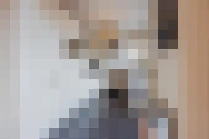 van de Poelstraat 3 Raamsdonksveer thumbnail 4