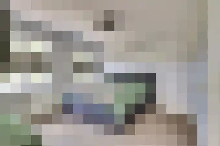 van de Poelstraat 7 Raamsdonksveer thumbnail 12