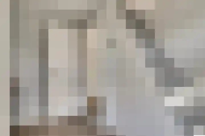 van de Poelstraat 7 Raamsdonksveer thumbnail 20