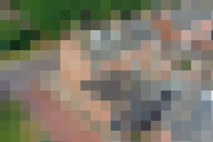 van de Poelstraat 7 Raamsdonksveer thumbnail 31
