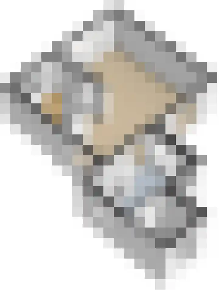 van de Poelstraat 7 Raamsdonksveer thumbnail 35