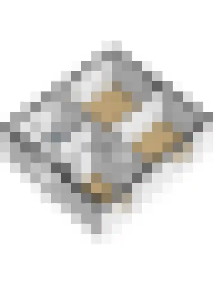 van de Poelstraat 7 Raamsdonksveer thumbnail 36