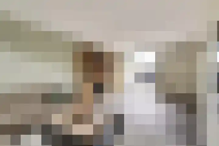 van de Poelstraat 7 Raamsdonksveer thumbnail 4
