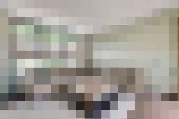 van de Poelstraat 7 Raamsdonksveer thumbnail 5
