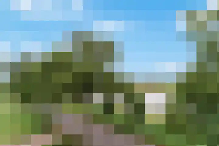 Van de Polerf 17 Veenendaal thumbnail 17