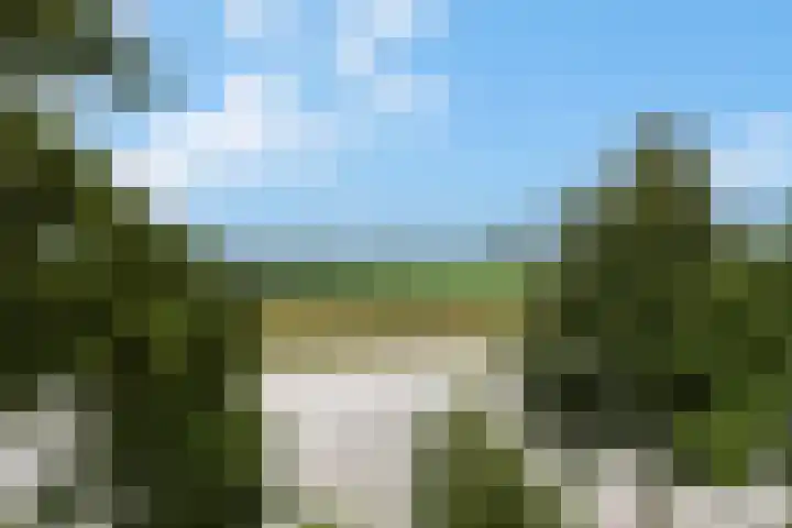 Van de Polerf 17 Veenendaal thumbnail 18