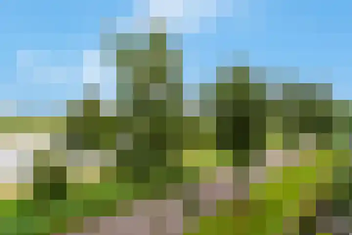 Van de Polerf 17 Veenendaal thumbnail 19