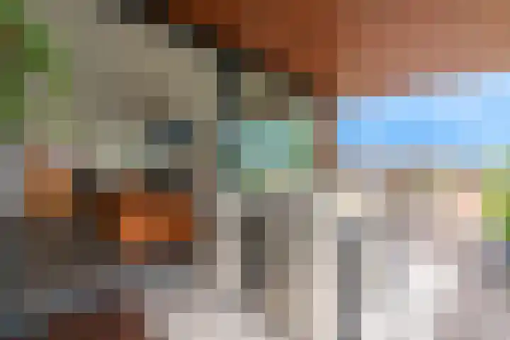 Van de Polerf 17 Veenendaal thumbnail 20