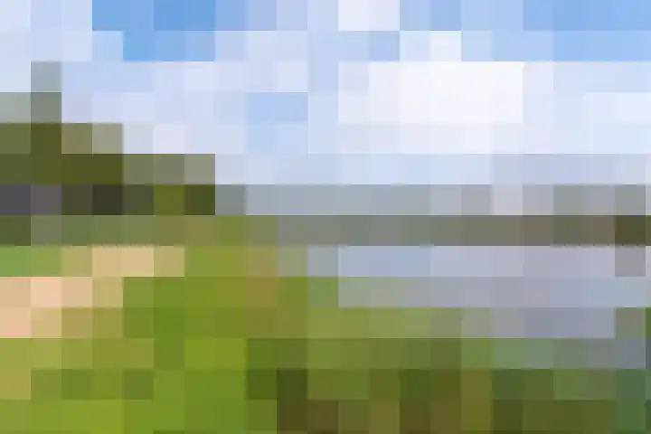 Van de Polerf 17 Veenendaal thumbnail 38