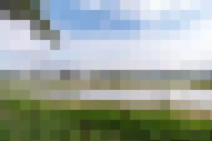 Van de Polerf 17 Veenendaal thumbnail 39