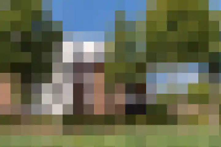Van de Polerf 17 Veenendaal thumbnail 42
