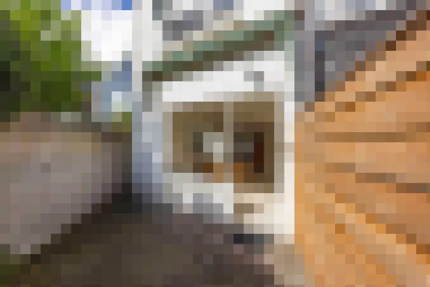 Van de Pollstraat 1 A Vught thumbnail 35