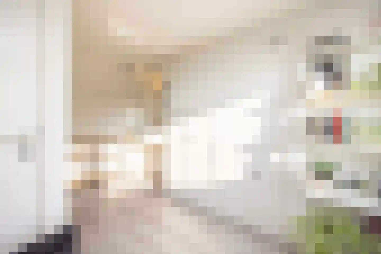 Van de Pollstraat 3 Vught thumbnail 33