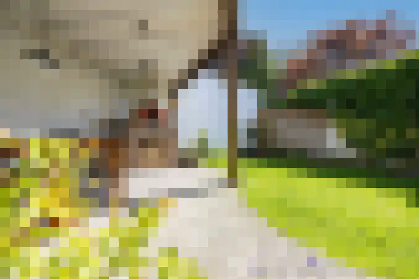 Van de Pollstraat 3 Vught thumbnail 36