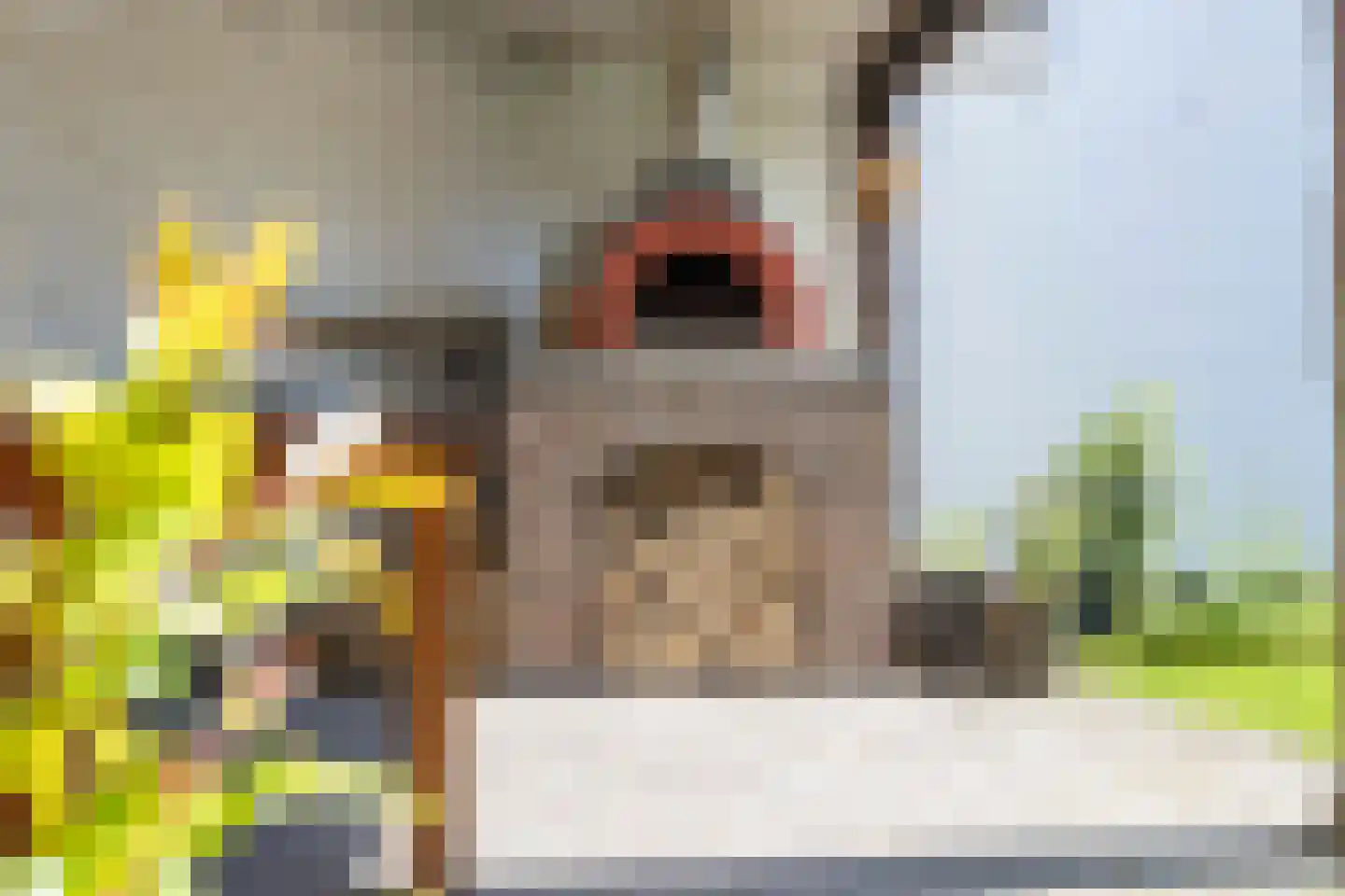 Van de Pollstraat 3 Vught thumbnail 37