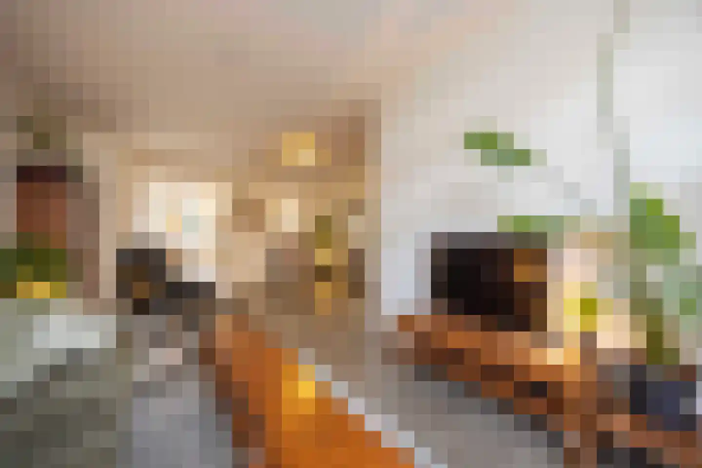 Van de Pollstraat 3 Vught thumbnail 9