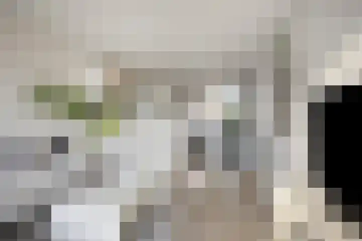 van de Puttestraat 36 Gouda thumbnail 11