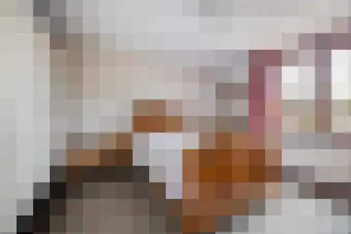Van de Rietstraat 6 Etten-Leur thumbnail 16