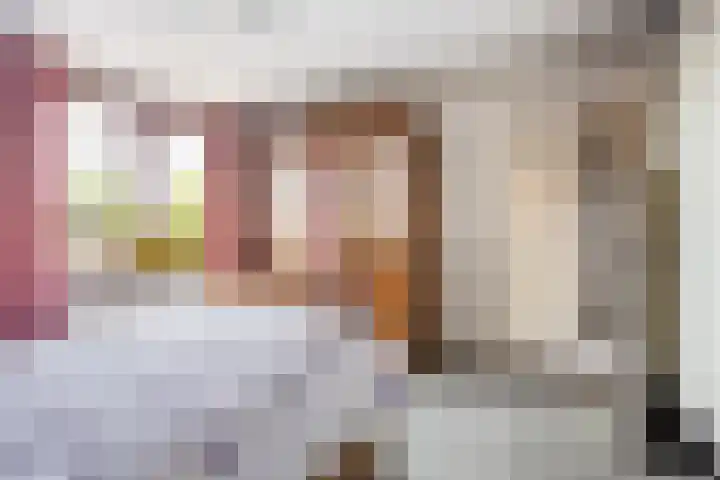 Van de Rietstraat 6 Etten-Leur thumbnail 17