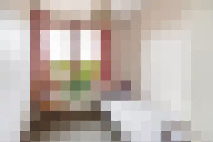 Van de Rietstraat 6 Etten-Leur thumbnail 20