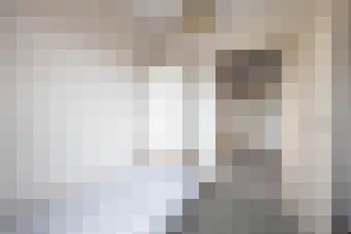 Van de Rietstraat 6 Etten-Leur thumbnail 21