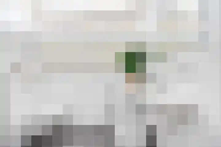 Van de Rietstraat 6 Etten-Leur thumbnail 22