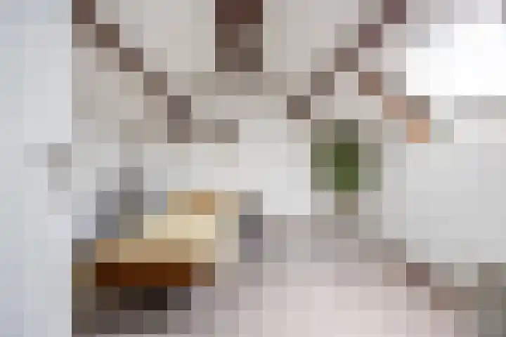 Van de Rietstraat 6 Etten-Leur thumbnail 25