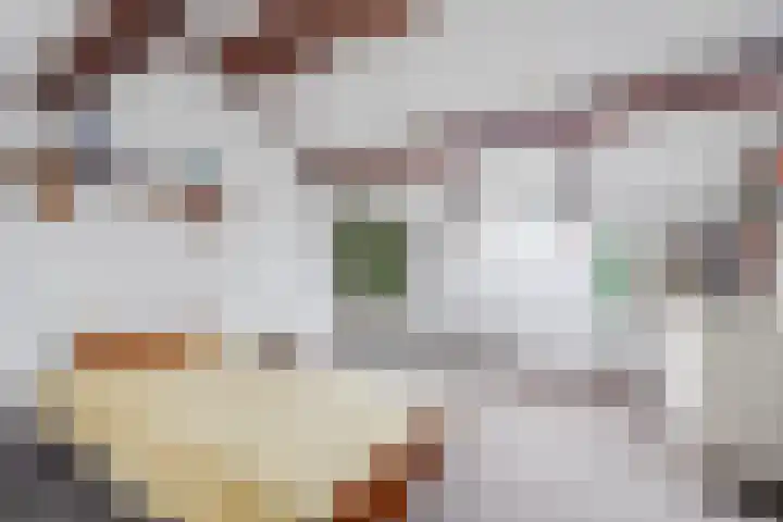 Van de Rietstraat 6 Etten-Leur thumbnail 26