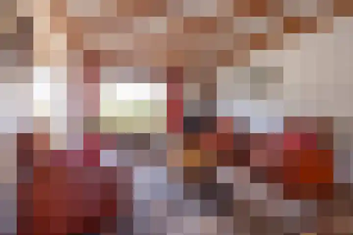Van de Rietstraat 6 Etten-Leur thumbnail 8