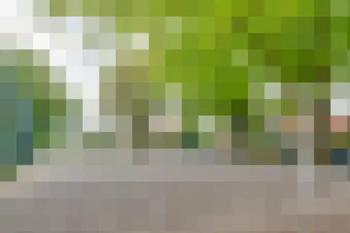 Van de Sande Bakhuyzenstraat 107 Hilversum thumbnail 43