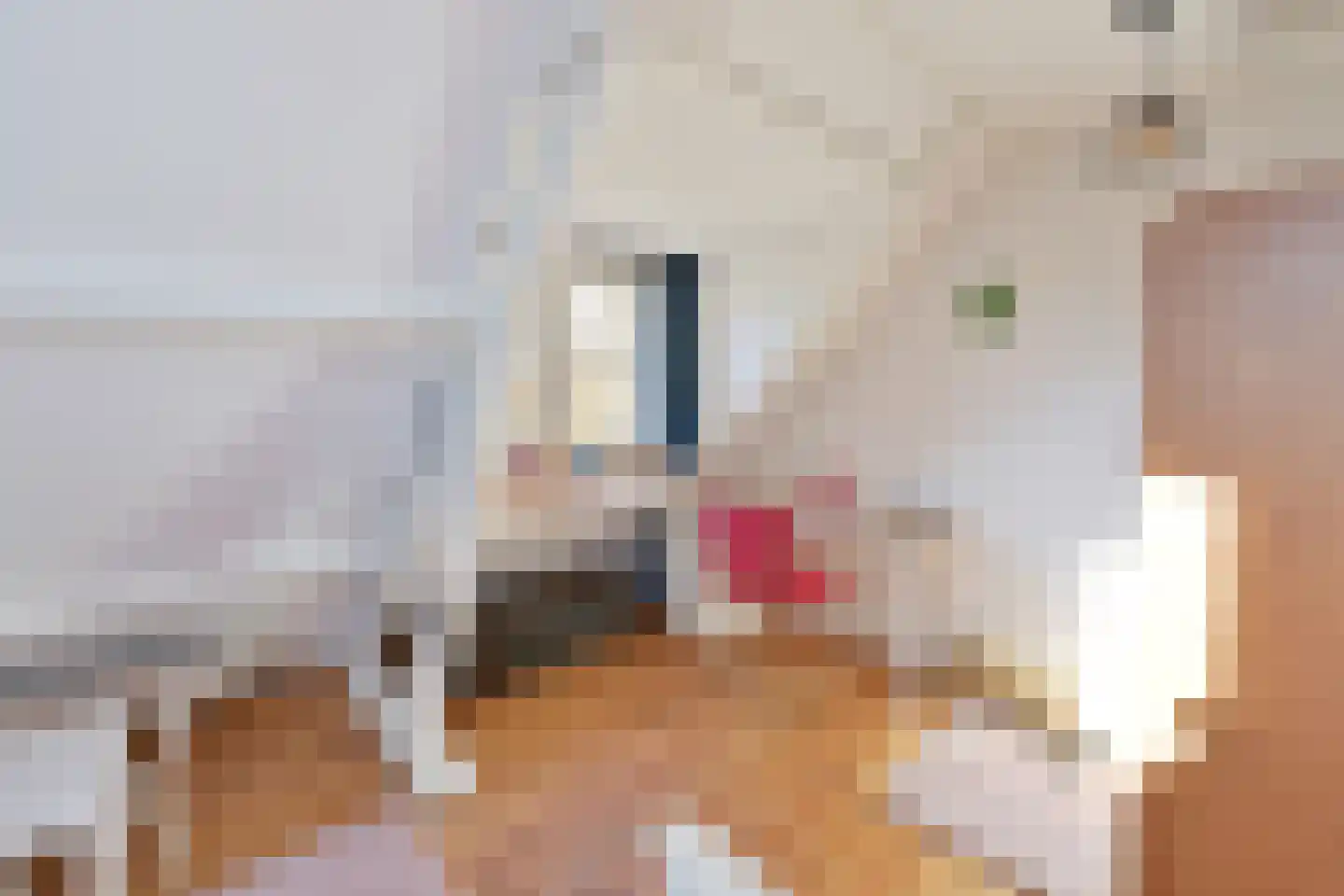 Van de Sande Bakhuyzenstraat 132 Hilversum thumbnail 18