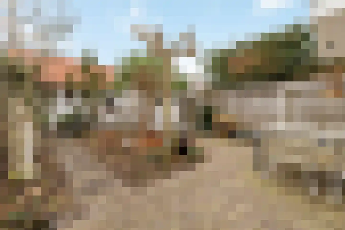Van de Sande Bakhuyzenstraat 146 Hilversum thumbnail 17